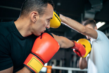 two muscle boxers sport man training and fighting on boxing ring at gym