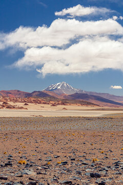 View of Llullaillaco mountain