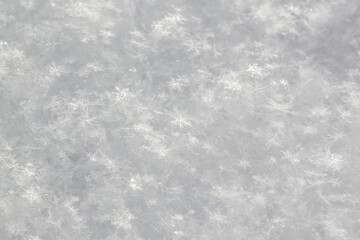 Close up of snow, snowflakes in the Winter in Minnesota. Christmas snow.