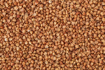  Close-up buckwheat background.Buckwheat. fresh buckwheat.