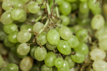 Food and drinks. Everyday food