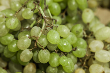 Food and drinks. Everyday food