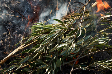 Bonfire in the bush on a sunny day