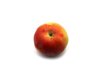 one red apple on a white background