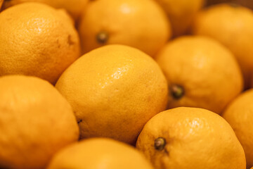 Food and drinks. Everyday food