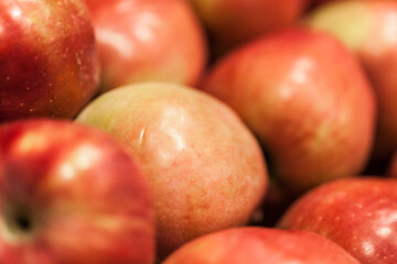 Food and drinks. Everyday food