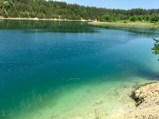 lake and forest