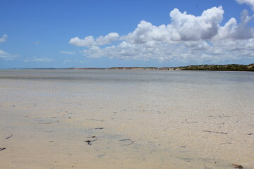 Shark Bay In Western Australia