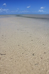 Shark Bay In Western Australia