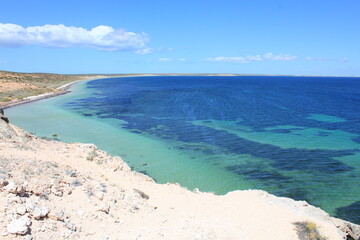 Shark Bay In Western Australia