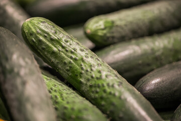 Food and drinks. Everyday food