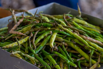 A silver dish of cooked string green beans of various shades of greens cooked in garlic and olive oil. The iron rich vegetables are still in their pods. The large heap of beans is in a restaurant tray