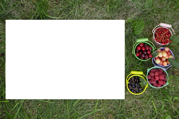 Colored baskets overflowing with summer mixed berries like raspberries, currant and cherry. Harvest...