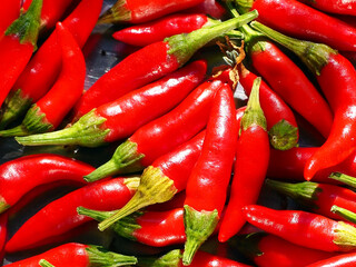 Red hot home-grown peppers