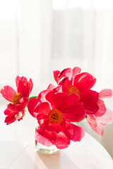nice fresh peonies in the vase