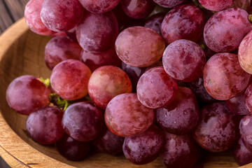 Fresh grapes on the tree. Autumn fruits