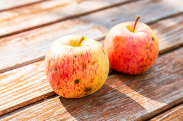 Two homegrown apples on the old wooden table