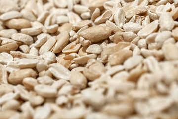 Food and drinks. Everyday food