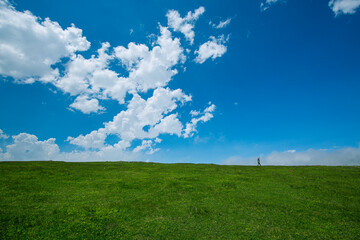
patchy clouds and grass