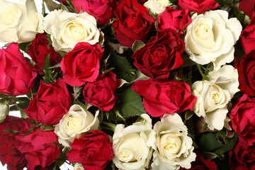 Weiße und rote Rosen als Hintergrund oder Muster 1