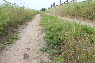 road in the field