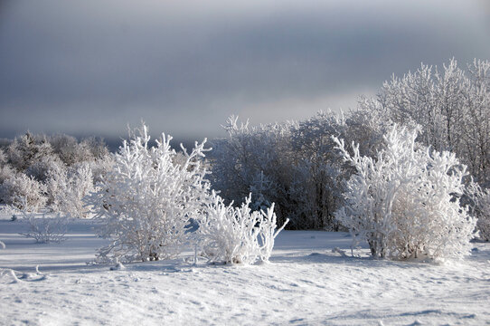 Winter scenery stock photos.  Scenery of Winter Season with frost trees and blue sky. Winter Wonderland. Christmas season. Winter season. Peaceful image. 