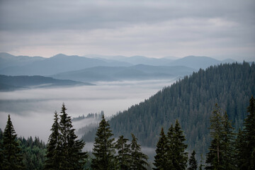 Mountain valley covered in mist