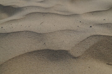 sand texture close-up - dune