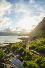 Lofoten sun