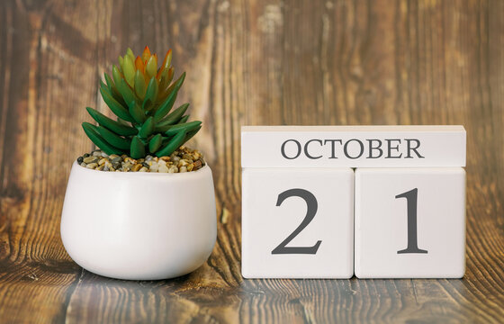 Flower pot and calendar for the cool season from 21 October. Autumn time.