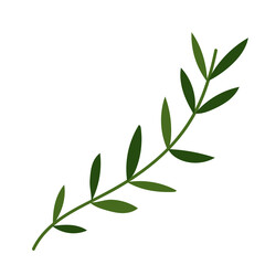 branch leaves foliage natural vegetation cartoon icon