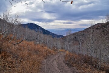 Provo Peak mountain views looking up to the top from Rock Canyon by Slide Canyon, Slate Canyon, Wasatch Front Rocky Mountain Range, Utah. United States. 