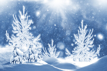 Naklejka premium Frozen winter forest with snow covered trees.