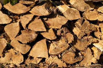 background image of chopped firewood stacked by a wall