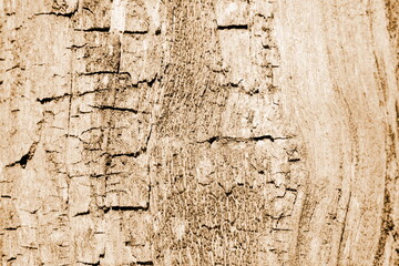 Abstrakter Holzhintergrund in braun und sepia