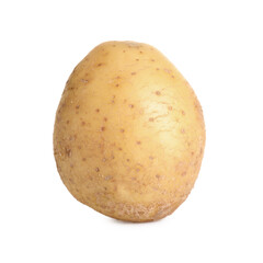 Fresh raw organic potato isolated on white