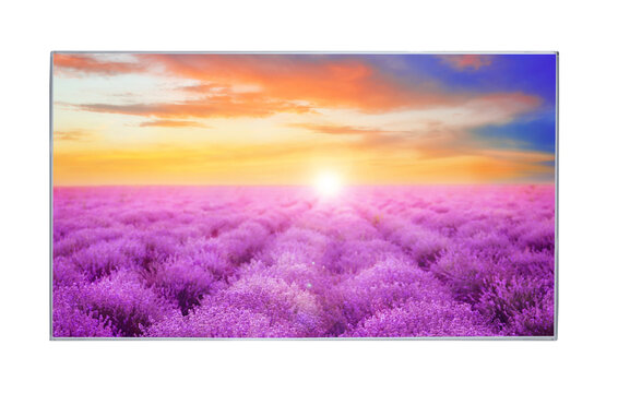 Modern wide screen TV monitor showing bright lavender field, isolated on white