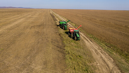 Autumn harvesting on rice fields