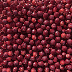 Plum 3d illustration isolated on the white background