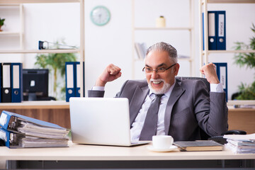 Old male employee working in the office