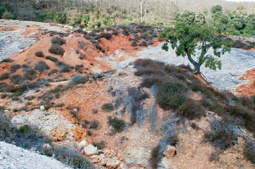 Naturalistic Park of Biancane near Monterotondo Marittimo, Tuscany, Italy.