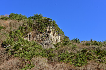 Enjoy the autum color leaves