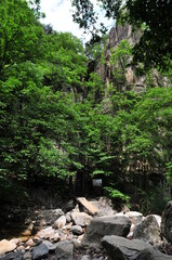 대한민국의 아름다운 무릉계곡 경관과 폭포