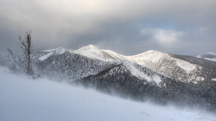 Obraz premium Blowing winds through the snow with the mountains range in background, Gaspesie, Quebec, Canada