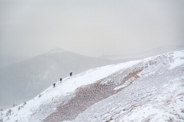 Three hikers climb to the summit on the mountain's ridge in the snow, Gaspesie, Quebec, Canada