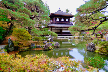 銀閣　慈照寺の紅葉（京都）