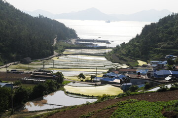 South Korea's Namhae Nice bent rice field