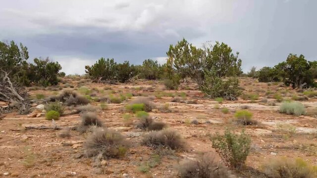 Northern Arizona Desert Landscape in the summer