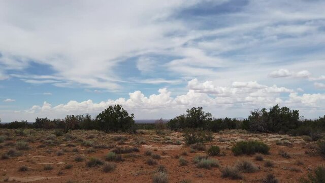 Arizona Desert  before a monsoon storm