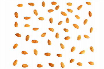 fly almond nut isolated in white background 
